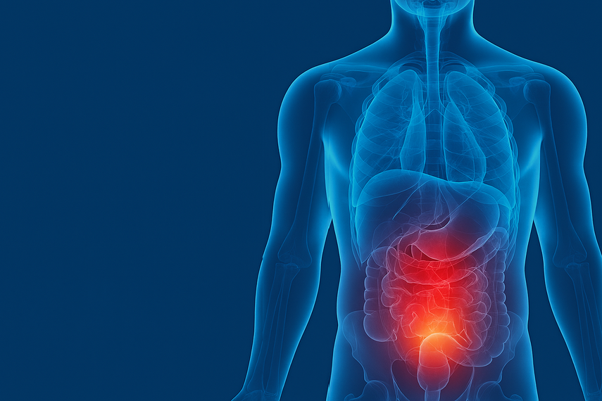 Según el Instituto de Salud de Nueva York, después del cáncer de piel, el cáncer de próstata es el cáncer más común entre los hombres, por lo que la ciencia se ha enfocado a descubrir nuevos tratamientos y modelos de exámenes para su detección. &nbsp; &nbsp;