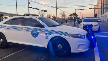 Patrullas de la Policía de Miami estuvieron en el lugar de los hechos.