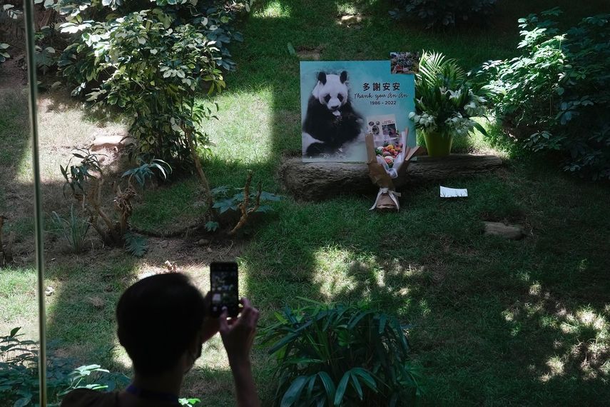 Un visitante toma una fotografía luego de que se dio a conocer la muerte del panda gigante An An en el parque temático de Ocean Park, en Hong Kong, el jueves 21 de julio de 2022.&nbsp;