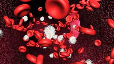 El proceso de formación de las células sanguíneas, como se denomina a los eritrocitos, leucocitos y plaquetas, tiene lugar en la médula ósea y se conoce como hematopoyesis. (Archivo)