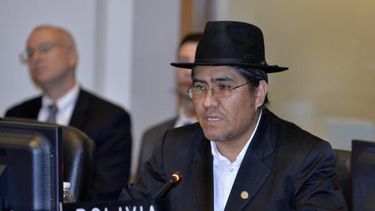 Todas las fuentes consultadas consideran que este paso dado por Bolivia es insólito, ya que siempre se ha entendido que el presidente del Consejo tiene una función de coordinador.