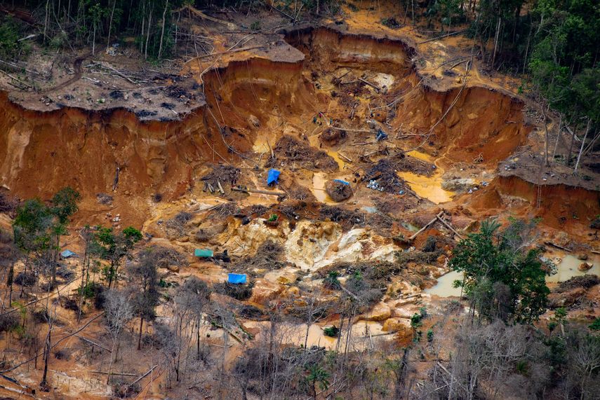 La destrucción en progreso del pulmón del planeta se encuentra en riesgo de alcanzar un punto de no retorno. En la fotografía se observan los campamentos mineros en el río Uraricoera en territorio Yanomami, Parima, estado de Roraima, frontera con Venezuela.