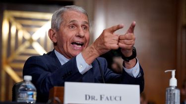 El máximo experto en enfermedades infecciosas de Estados Unidos Anthony Fauci.