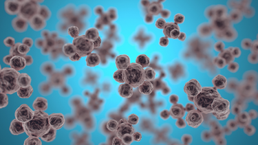 La nanomedicina para curar grandes males