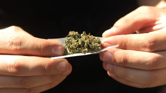 La marihuana medicinal es una industria multimillonaria que tiene grandes probabilidades de expansión en la Florida.