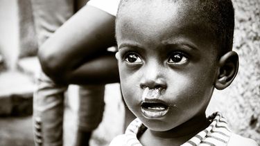 Temen propagación regional e internacional del ébola&nbsp;