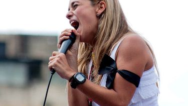 Reverol denunció que Gilbert Caro, desde hace unos meses atrás, conjuntamente con el jefe de escolta de Lilian Tintori, Walter Méndez.