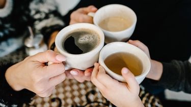 El café no es un cultivo que deforesta (Europa Press)