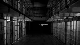 Imagen referencial. Imagen referencial.