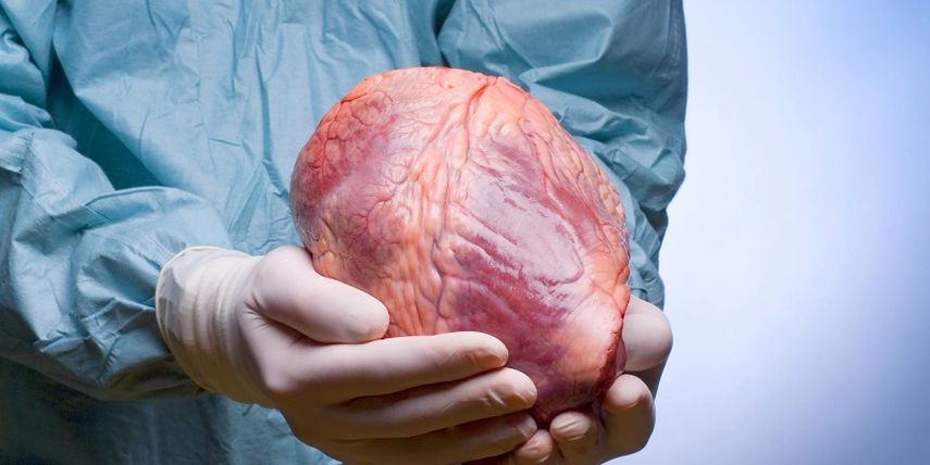 Para ser donante, el historial médico es más importante que la edad, de hecho en EEUU se registró el caso de un voluntario de 92 años de edad. (Archivo)