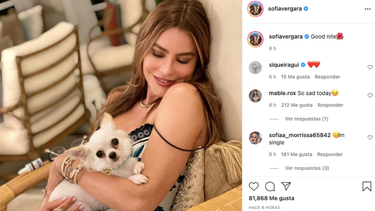 Sofía Vergara.&nbsp;