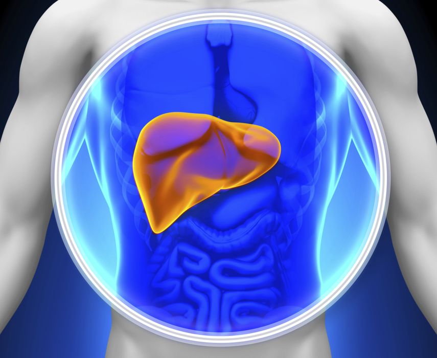 40 % de la población padecerá sobrepeso u obesidad en 2014, y el problema del hígado graso podría crecer en la misma medida.