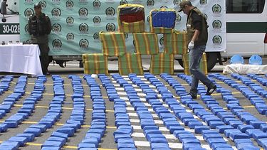 EEUU destacó que elementos de las FARC y otras bandas se hayan aprovechado de la oportunidad para, básicamente, cultivar más coca.