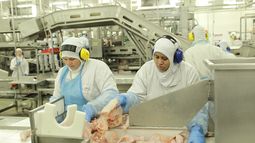 Las exportaciones de carnes a cerca de 150 países, que el año pasado rindieron a Brasil cerca de 12.000 millones de dólares, representan cerca del 7% de las ventas externas del país.