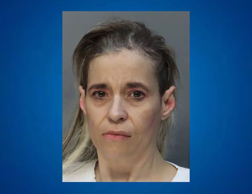 María de Lourdes Van-Caneghem, de 50 años es acusada como la principal sospechosa en el caso.