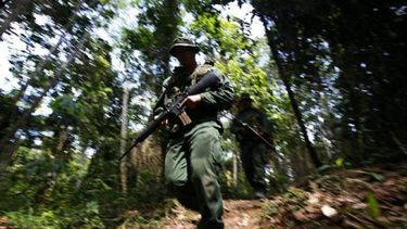 Como parte del recuento se documentaron 353.531 hechos para lograr determinar que el conflicto dejó en Colombia 80.514 desaparecidos, de los cuales de 70.587 aún no se tienen noticias.