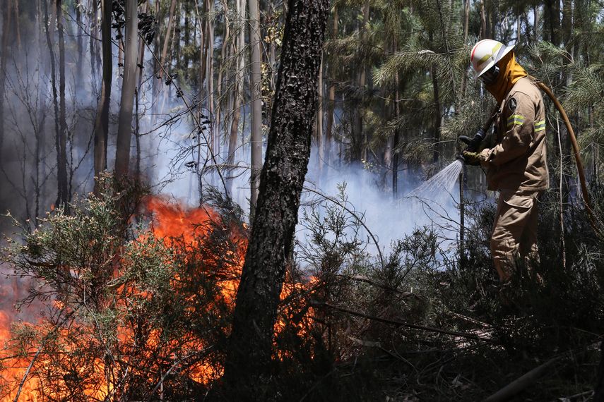 Un miembro de la Guardia Nacional Republicana (GNR) portuguesa combate el fuego en Alto da Louriceira. 