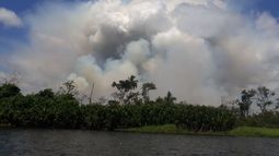 El incendio en la reserva Indio Maíz, situada en la frontera de Nicaragua con Costa Rica, una de las más importantes de Centroamérica, se desató el pasado martes.