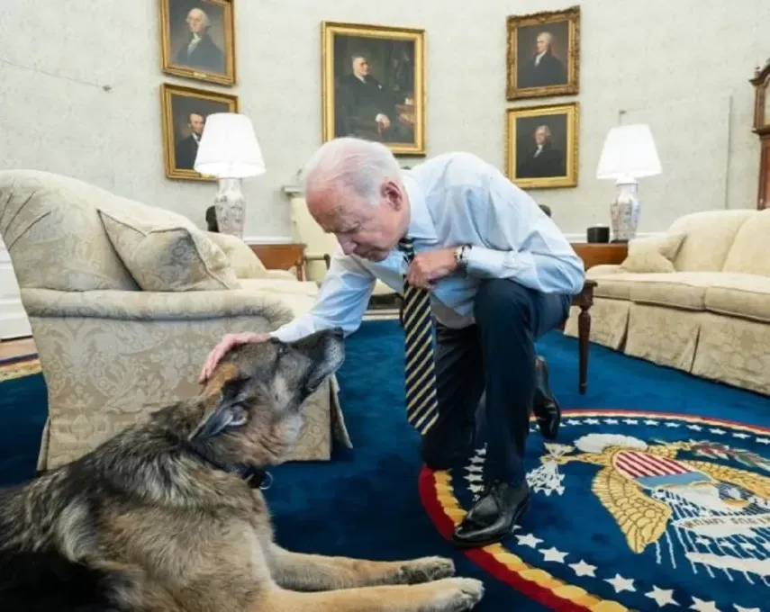 Champ, uno de los perros del presidente Joe Biden. 