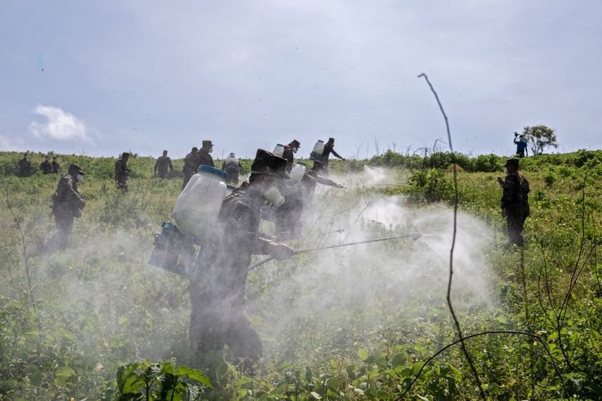 Los soldados del cuarto destacamento militar y la tercera brigada de infantería usan bombas de fumigación para erradicar un brote de langostas voladoras en cultivos y pastos junto con técnicos del Ministerio de Agricultura y Ganadería como parte de la llamada operación Valkiria en El Havillal, San Miguel, El Salvador.