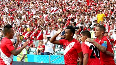 La FIFA considera que las modificaciones hacen que la FPF pase a depender de la Ley de Promoción y Desarrollo del Deporte y constituirían un caso de injerencia en los asuntos de la federación.