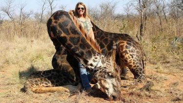 La cazadora publicó con orgullo imágenes que la muestran junto al animal muerto y causó una ola de ira en los medios sociales.