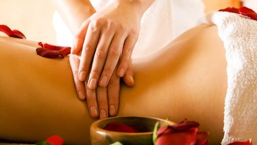 Como disciplina, el masaje cuenta con un basamento científico que se sustenta en el conocimiento y comprensión de la anatomía humana. (Archivo)