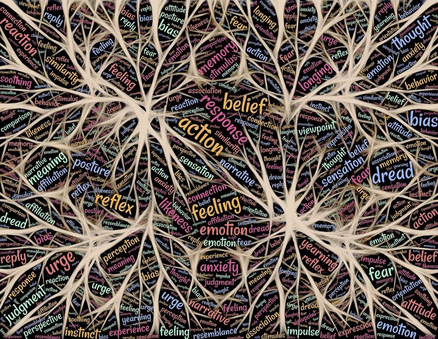 Las preocupaciones que persisten afectan nuestro estómago. De ahí que muchas veces suframos de gastritis, colitis y hasta de úlceras, debido a nuestras preocupaciones.