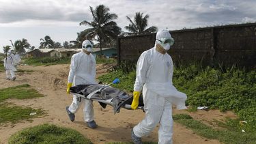 miembro del equipo medico internacional de la onu fallecio en alemania