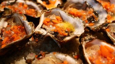 La ubicación costera de San Petersburgo significa que ofrece mariscos frescos directamente del Golfo