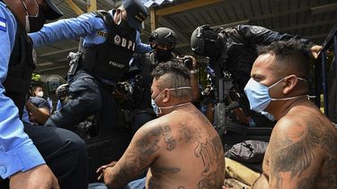 Integrantes de la banda delictiva Mara Salvatrucha (MS-13) son transportados por agentes de la Policía Nacional en Tegucigalpa, el 19 de febrero de 2021, luego del desmantelamiento de un centro de operaciones de la organización hallado en la sierra del departamento de Olancho, norte de Honduras.