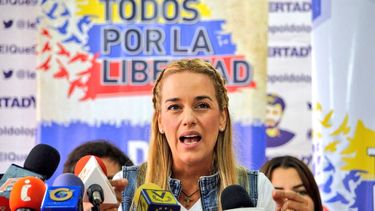 Tintori aseveró que la oposición venezolana ha activado sus tres caminos de lucha, la internacional, la institucional, Asamblea Nacional, y la calle.