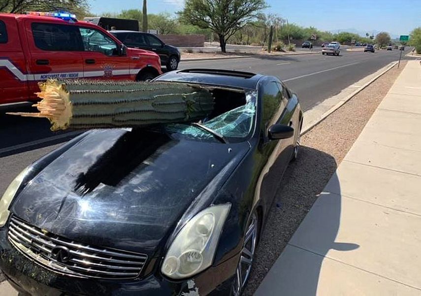 Imagen cortesía del Distrito de Bomberos Noroeste muestra el parabrisas de un auto perforado por un cactus saguaro tras un accidente el 10 de julio de 2019, a las afueras de Tucson, Arizona.&nbsp;