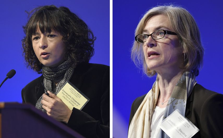 En esta combinaci&oacute;n de im&aacute;genes de archivo, tomadas el 1 de diciembre de 2015, Emmanuelle Charpentier (izquierda) y Jennifer Doudna intervienen en una cumbre internacional de la Academia Nacional de Ciencias sobre seguridad y &eacute;tica en la edici&oacute;n del genoma, en Washington. Charpentier y Doudna ganaron el Nobel de Qu&iacute;mica el 7 de octubre de 2020 por el desarrollo de un m&eacute;todo de edici&oacute;n del genoma.&nbsp;