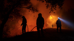 Incendios forestales en Portugal y España dejan al menos 39 muertos