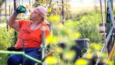 Marti Syring bebe para hidratarse mientras en el jardín para adultos mayores del condado Montgomery el viernes 16 de junio de 2023 en Conroe, Texas.&nbsp;