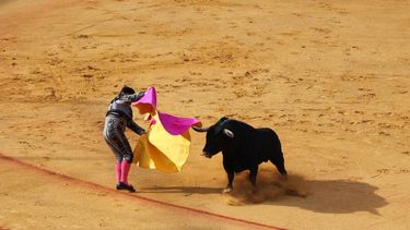 Imagen referencial de una corrida de toros.&nbsp;