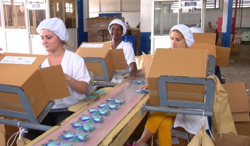 L&iacute;nea de producci&oacute;n de jab&oacute;n en Suchel.&nbsp;