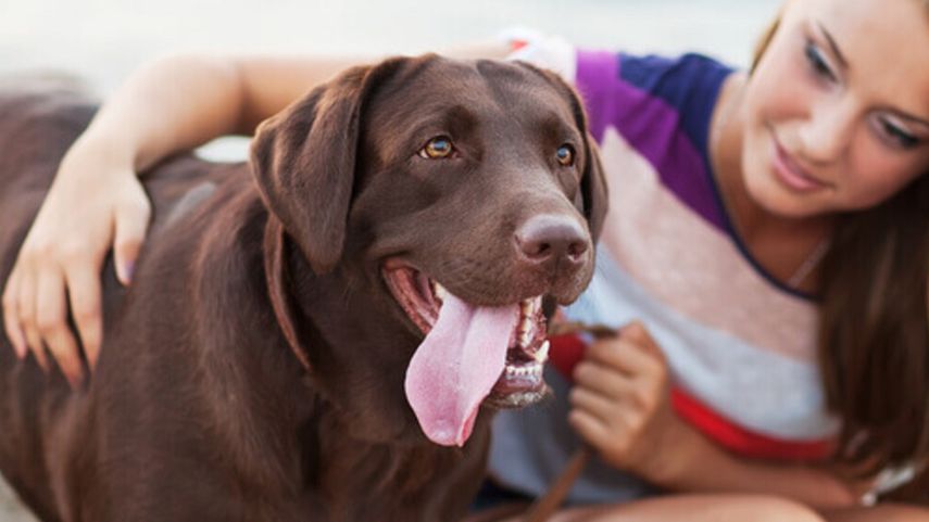 Si quieres saber lo que es realmente una amistad leal, ten un perro.&nbsp;