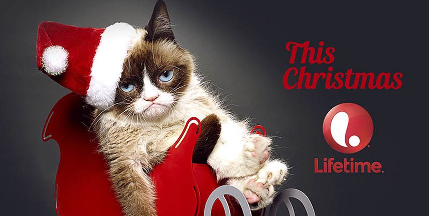 Grumpy Cat en una fotografía sin fecha proporcionada por Lifetime. Una película con actores verdaderos titulada Grumpy Cats Worst Christmas Ever se filmará en los próximos meses. (Foto AP/Lifetime)