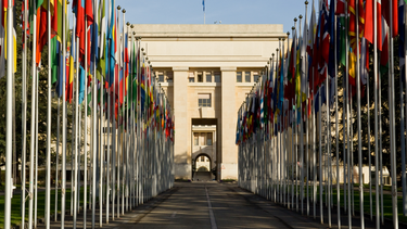 Banderas de los países que integran Naciones Unidas.