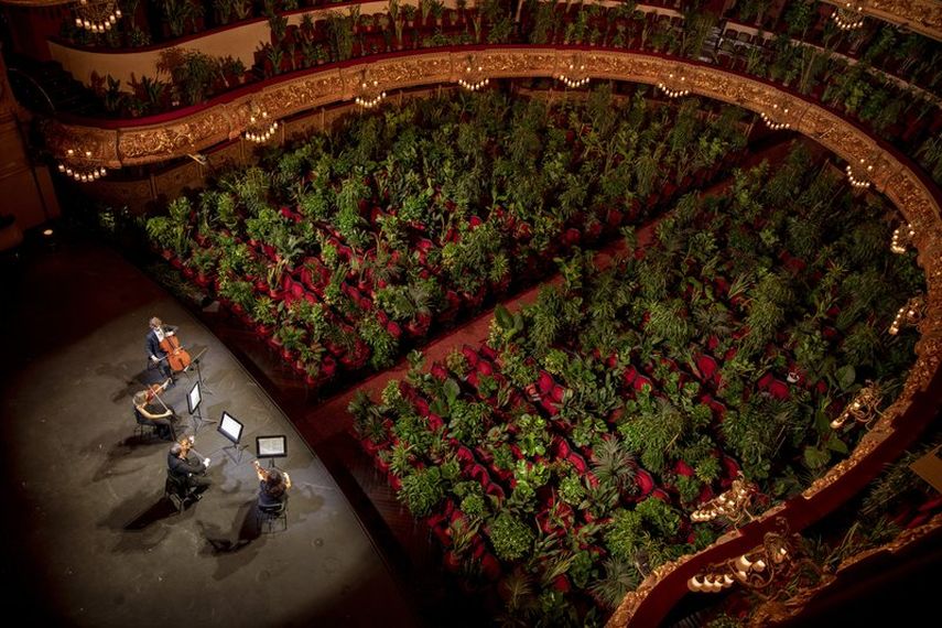 M&uacute;sicos ensayan en el Gran Teatre del Liceu el lunes 22 de junio de 2020 en Barcelona. El teatro reabrir&oacute; sus puertas pero sus 2.292 butacas estar&aacute;n ocupadas en esta ocasi&oacute;n por plantas.&nbsp;