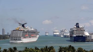 Buques cruceros de diferentes compañías, en aguas del Puerto de Miami.
