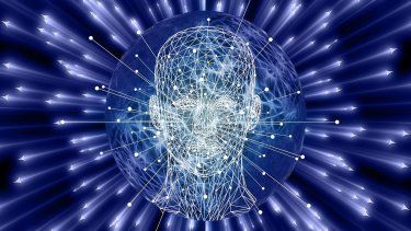 una tecnica que congela tumores sin cirugia abre nuevas esperanzas