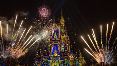 Los fuegos artificiales nocturnos en Walt Disney World Resort.