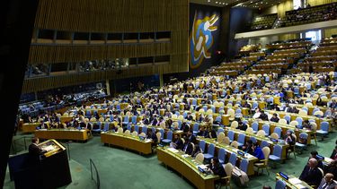 Diplomáticos&nbsp;cubanos&nbsp;boicotearon hoy con gritos y golpes sobre las mesas un acto organizado en la sede de la&nbsp;ONU&nbsp;por Estados Unidos para denunciar la situación de los presos políticos en la isla.