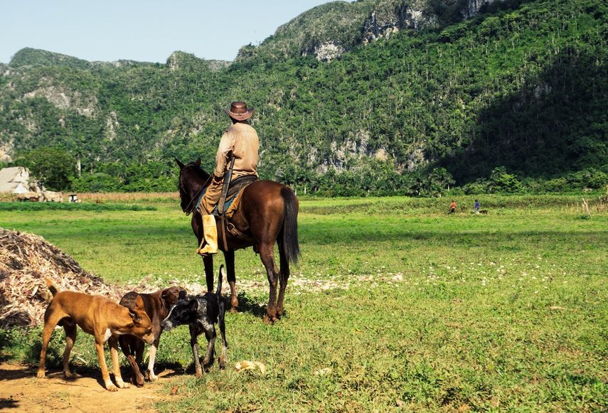 Un campesino en Cuba.&nbsp;