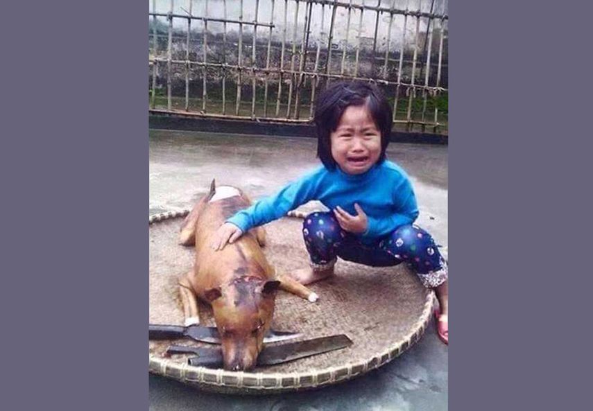 Una fotografía que le dio la vuelta al mundo y abrió el debate sobre la posibilidad de prohibir el consumo de carne de perro en ese país