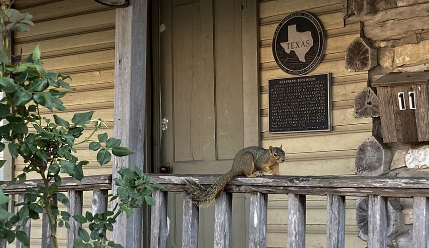 Fredericksburg, Texas.