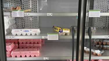 Los huevos escasean en Publix.